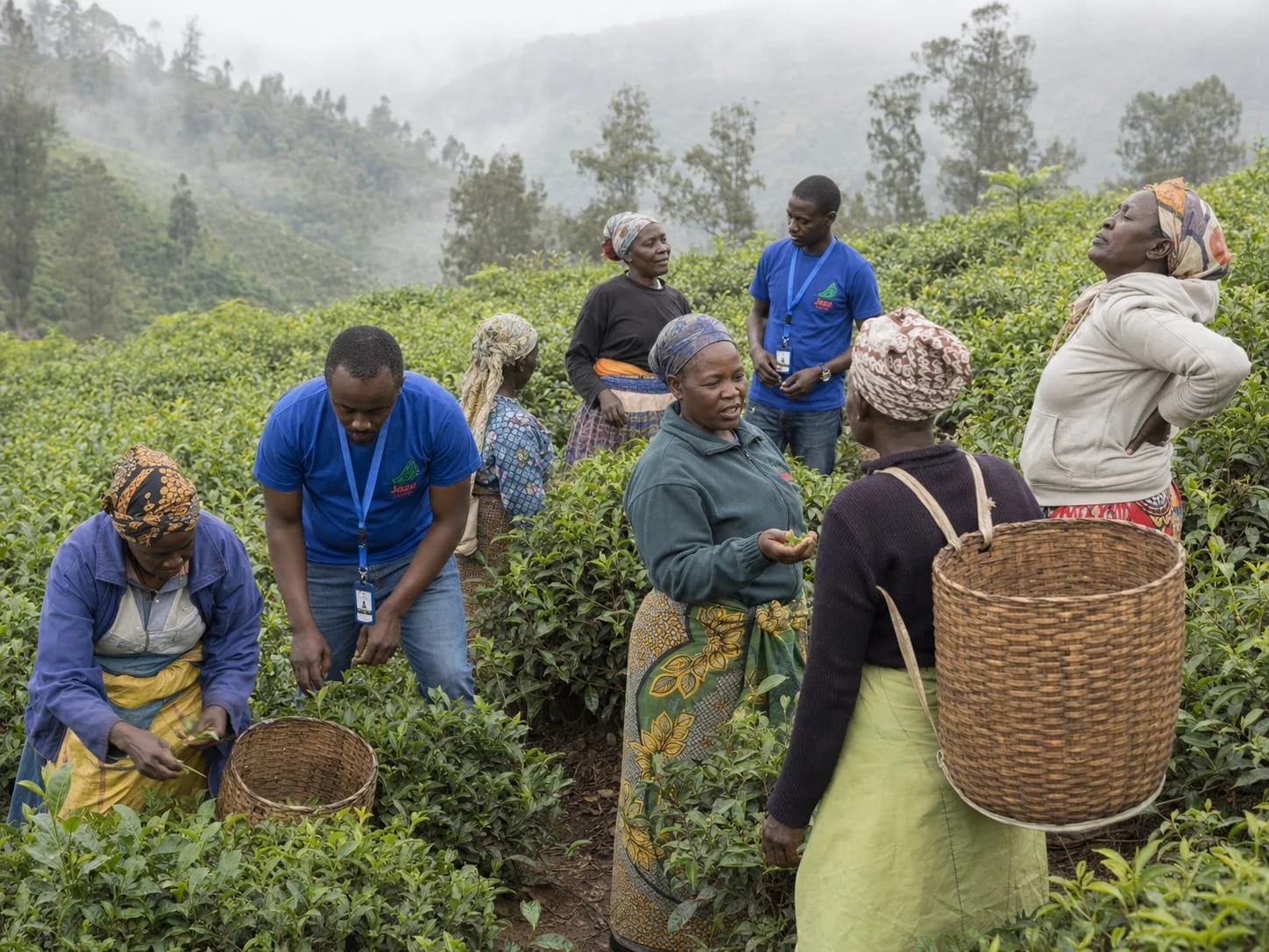 Jaza Capital team engaging tea growers